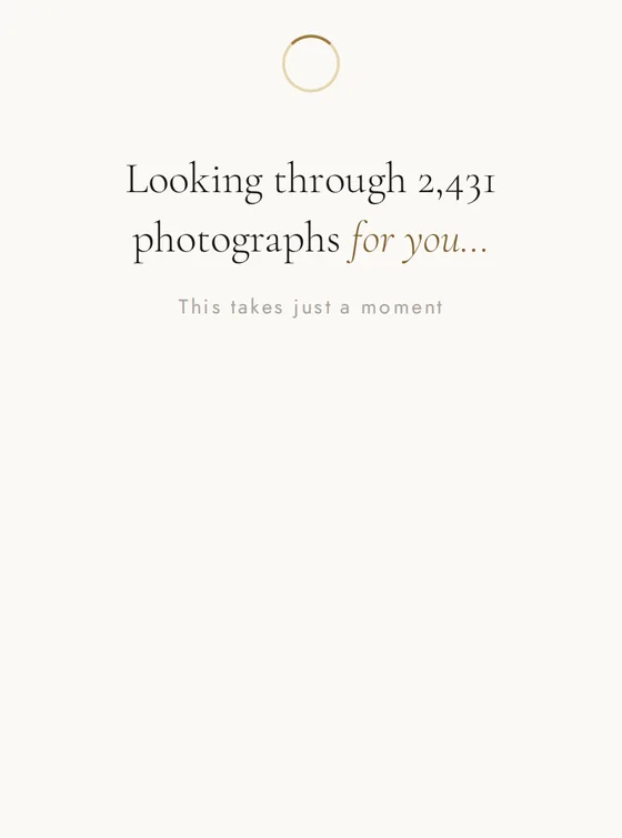 Volto searching: “Looking through 2,431 photographs for you…”